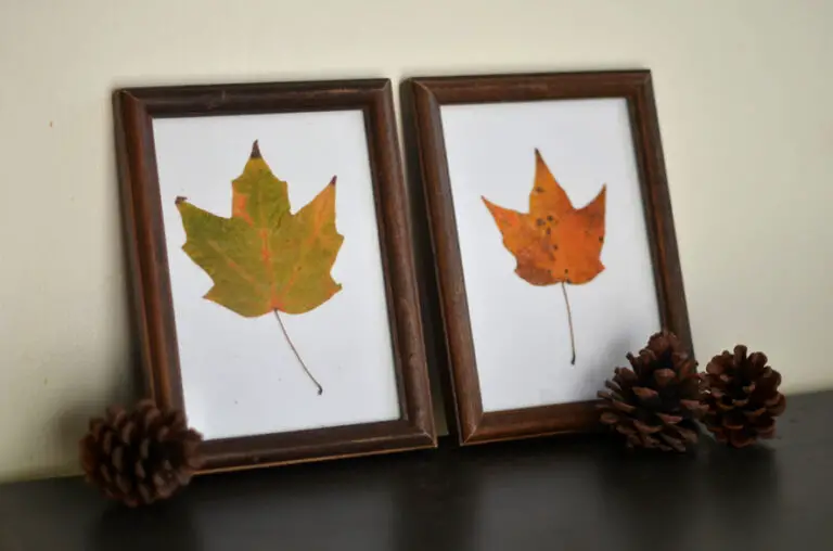 6 Fall Crafts and DIYs to Make this Autumn