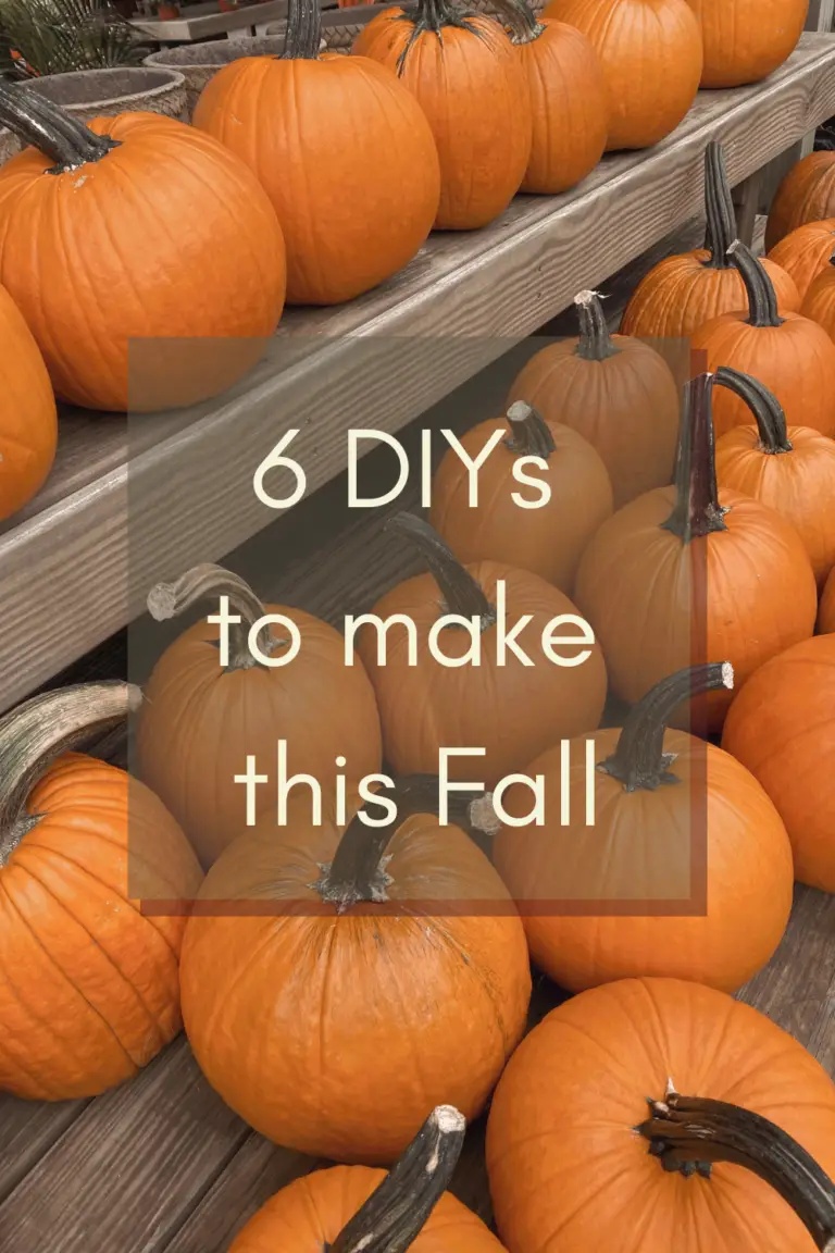 6 Fall Crafts and DIYs to Make this Autumn